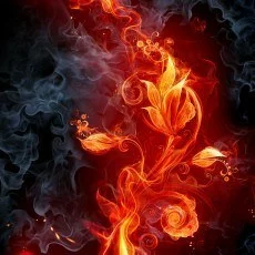 Obrazy ogień
