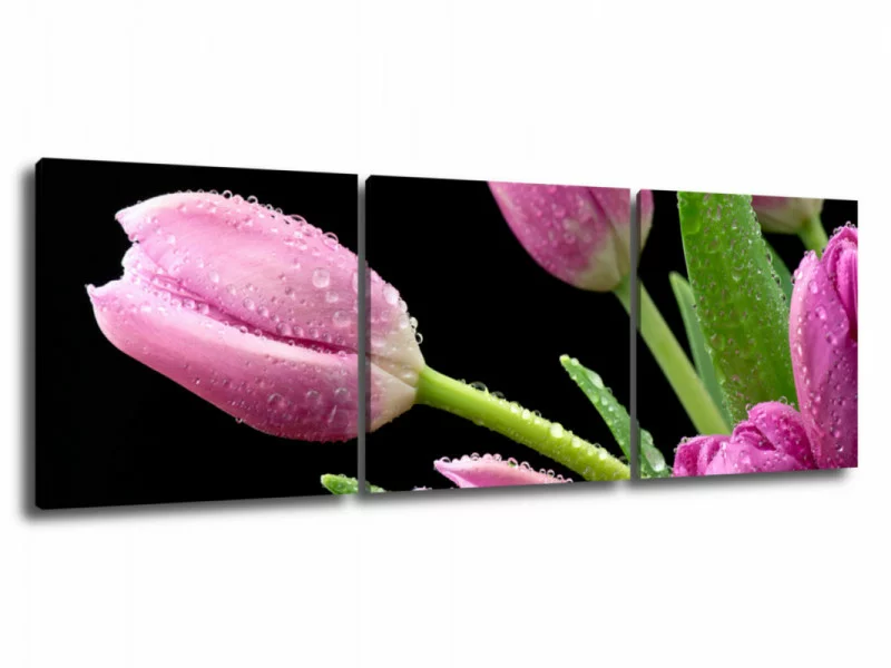 Obraz 3 częściowy - zroszony tulipan - obrazek 1