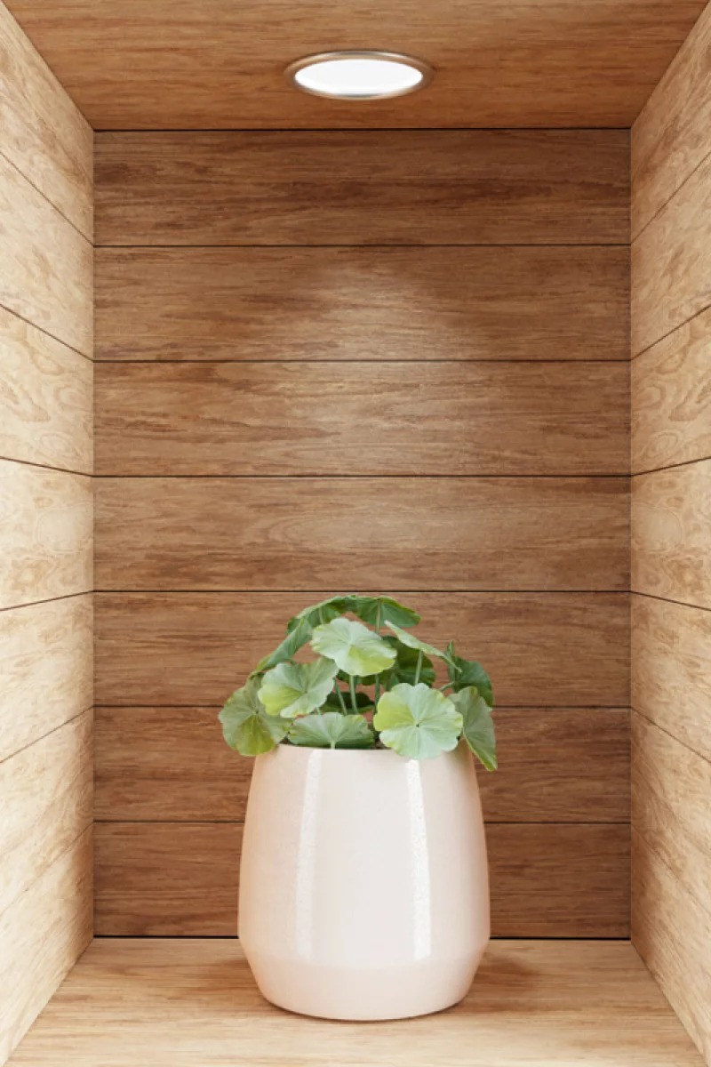 Naklejka na ścianę 3D do kuchni - kwiat w drewnianej wnęce XXX - obrazek 1