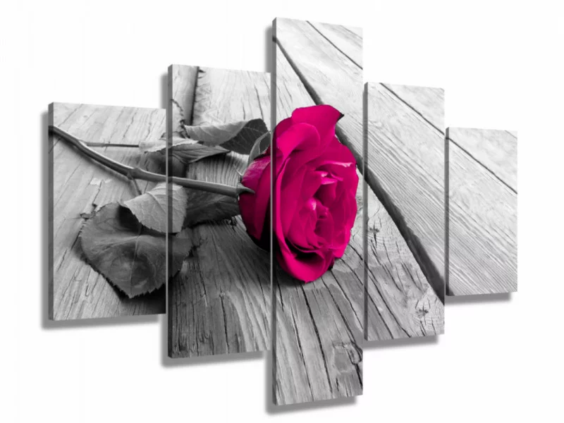 Obraz 5-częściowy - płatki róży - obrazek 1