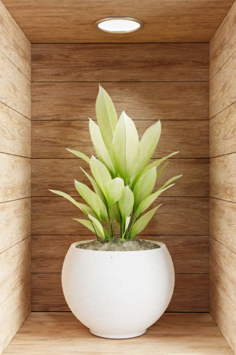 Naklejka na ścianę 3D do kuchni - kwiat w drewnianej wnęce VI - obrazek 1