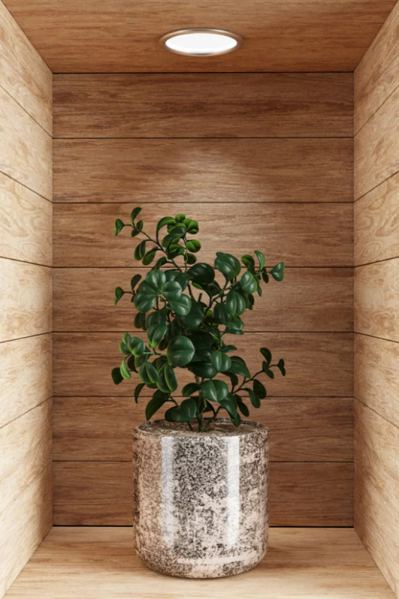 Naklejka na ścianę 3D do kuchni - kwiat w drewnianej wnęce XXXII - obrazek 1