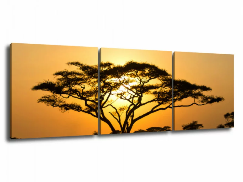 Obraz 3 częściowy - afrykańskie drzewo - obrazek 1