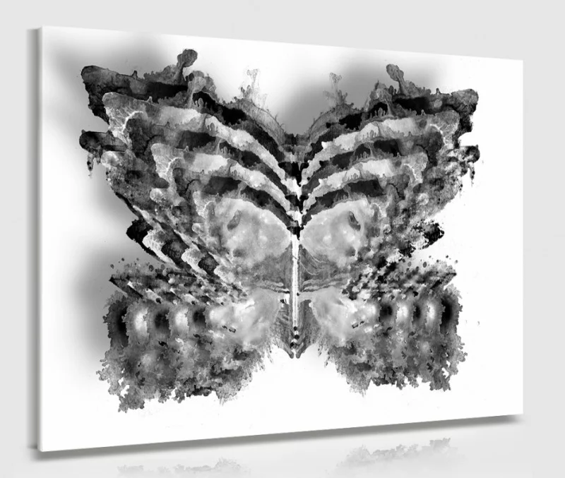 Obraz watercolor - czarno-biały motyl - obrazek 1