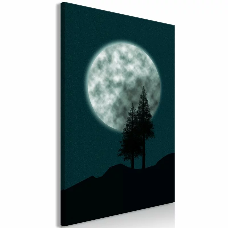 Obraz - Piękna pełnia księżyca (1-częściowy) pionowy - obrazek 1