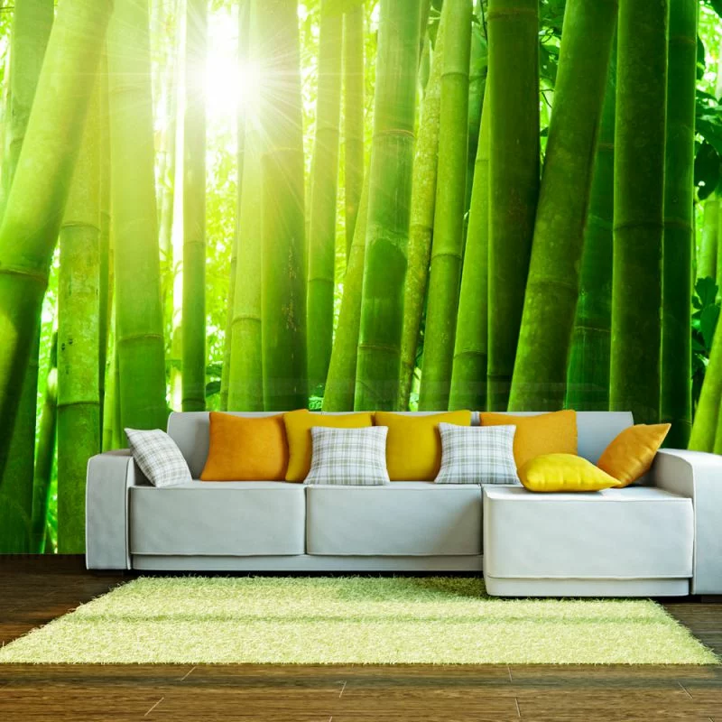 Fototapeta Słońce i Zielony Bambus - obrazek 1
