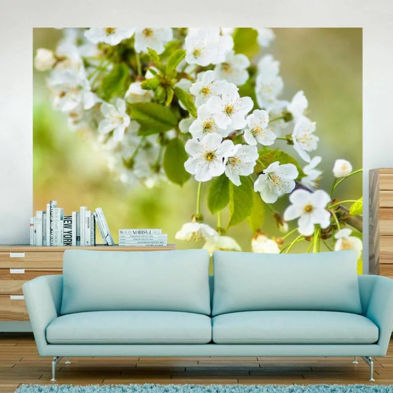 Fototapeta  Delikatna białe kwiaty - obrazek 1
