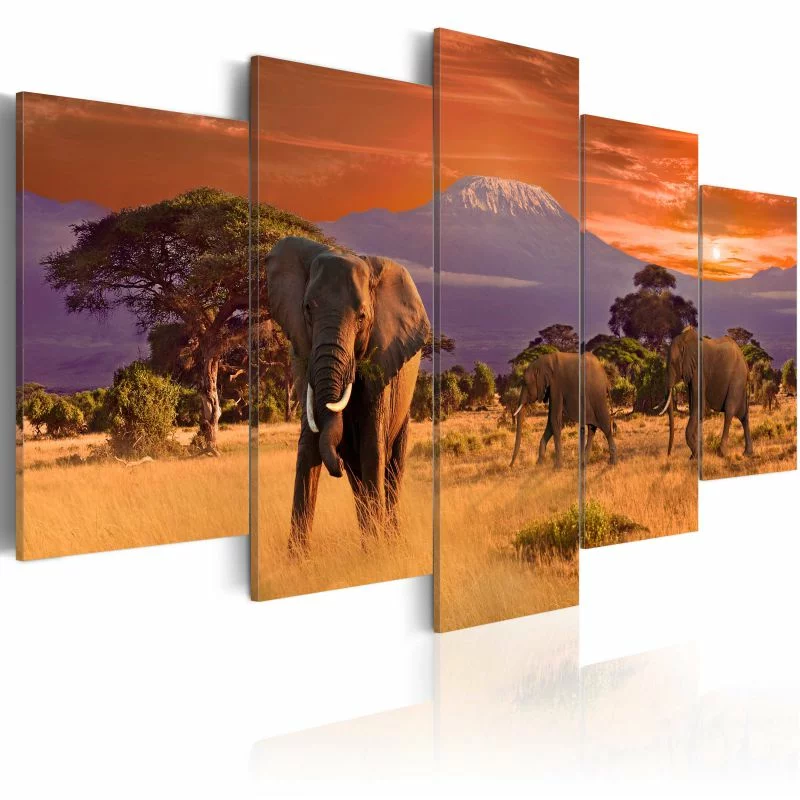 Obraz - Afryka: słonie - obrazek 1