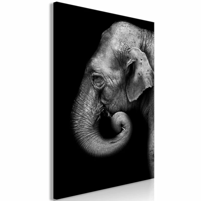 Obraz - Portret słonia (1-częściowy) pionowy - obrazek 1