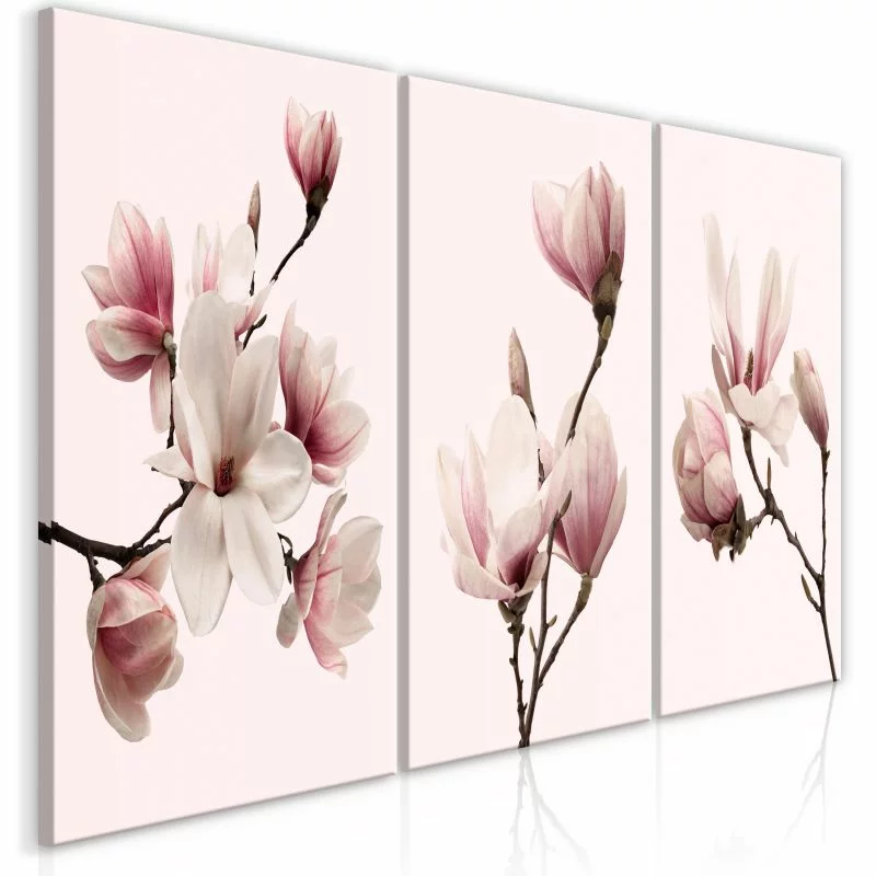 Obraz - Wiosenne magnolie (3-częściowy) - obrazek 1