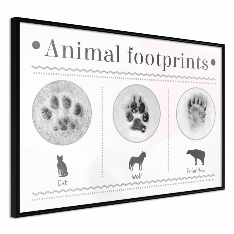Plakat - Jak rozpoznać zwierzę - obrazek 1