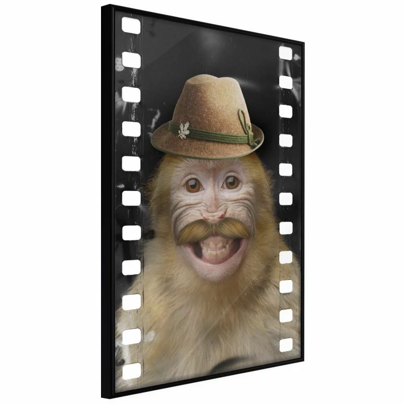 Plakat - Przebrana małpka - obrazek 1