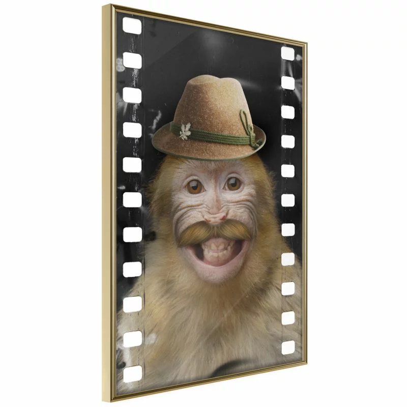 Plakat - Przebrana małpka - obrazek 1