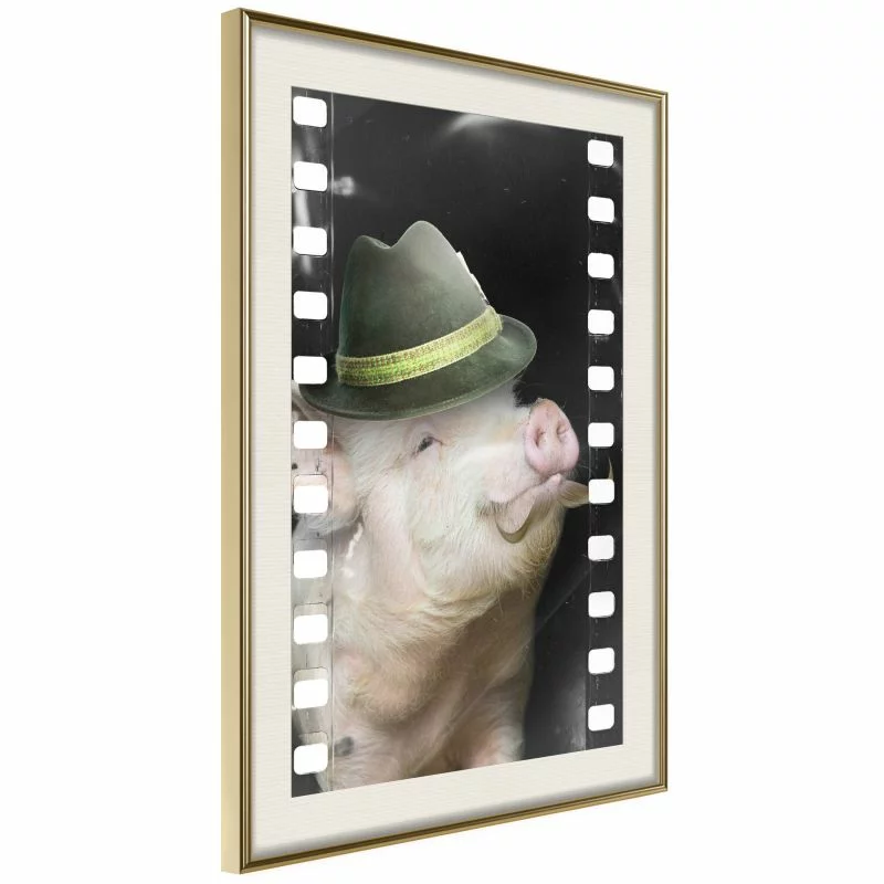 Plakat - Przebrana świnka - obrazek 1