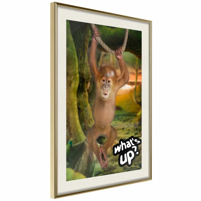 Plakat - Życie w dżungli - obrazek 1