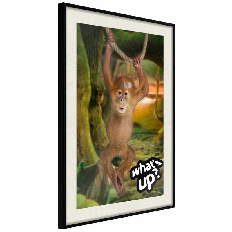 Plakat - Życie w dżungli - obrazek 1
