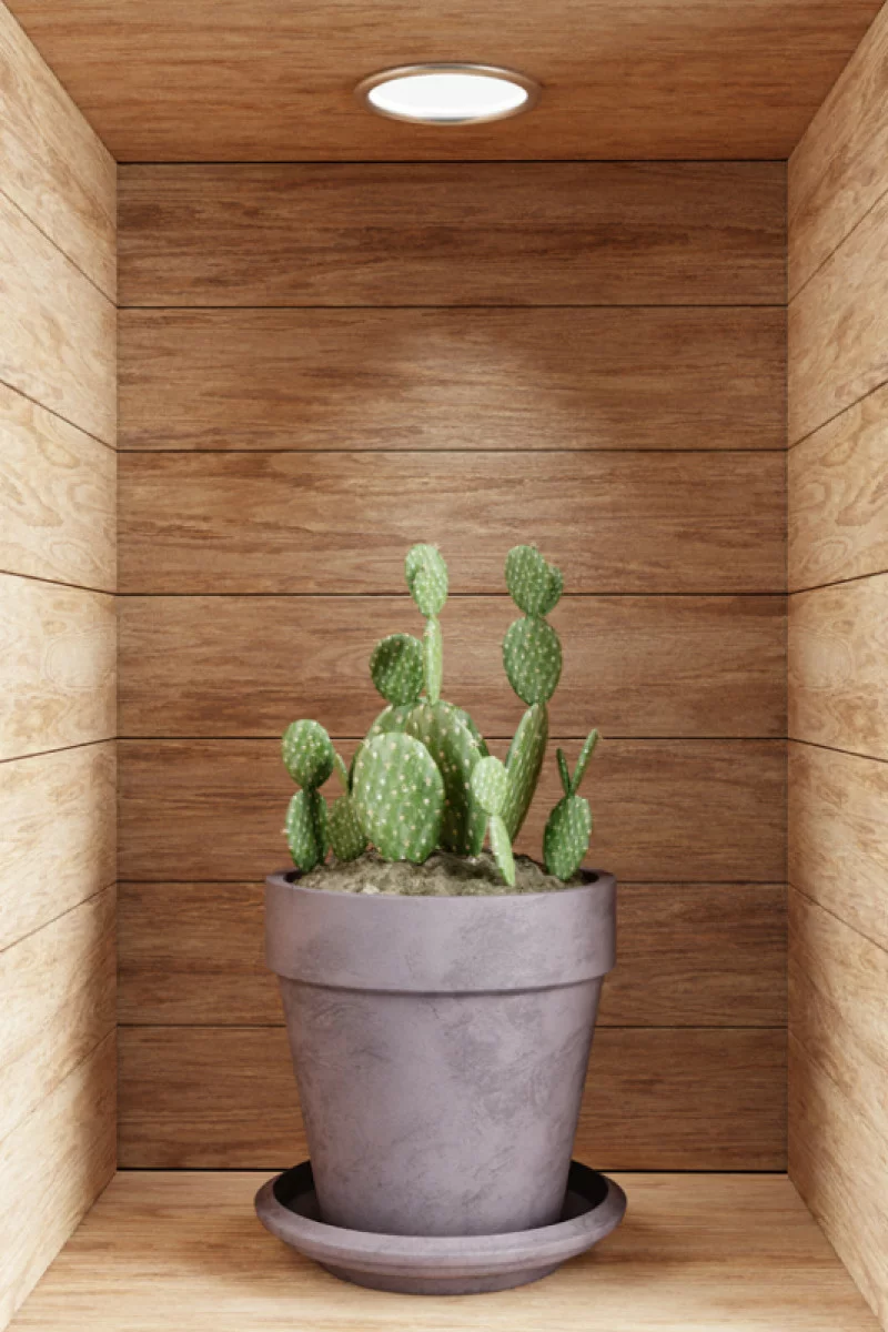 Naklejka na ścianę 3D do kuchni - kwiat w drewnianej wnęce XXVI - obrazek 1