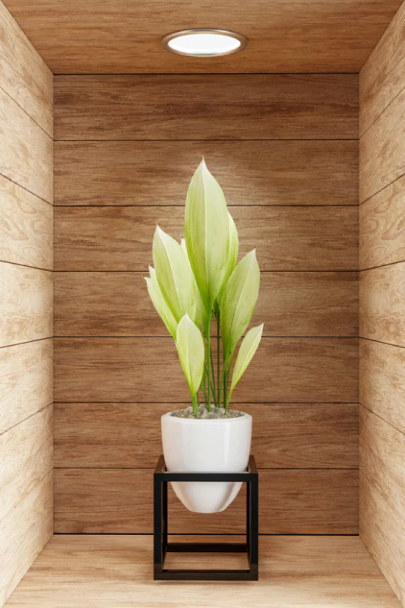 Naklejka na ścianę 3D do kuchni - kwiat w drewnianej wnęce XXXI - obrazek 1