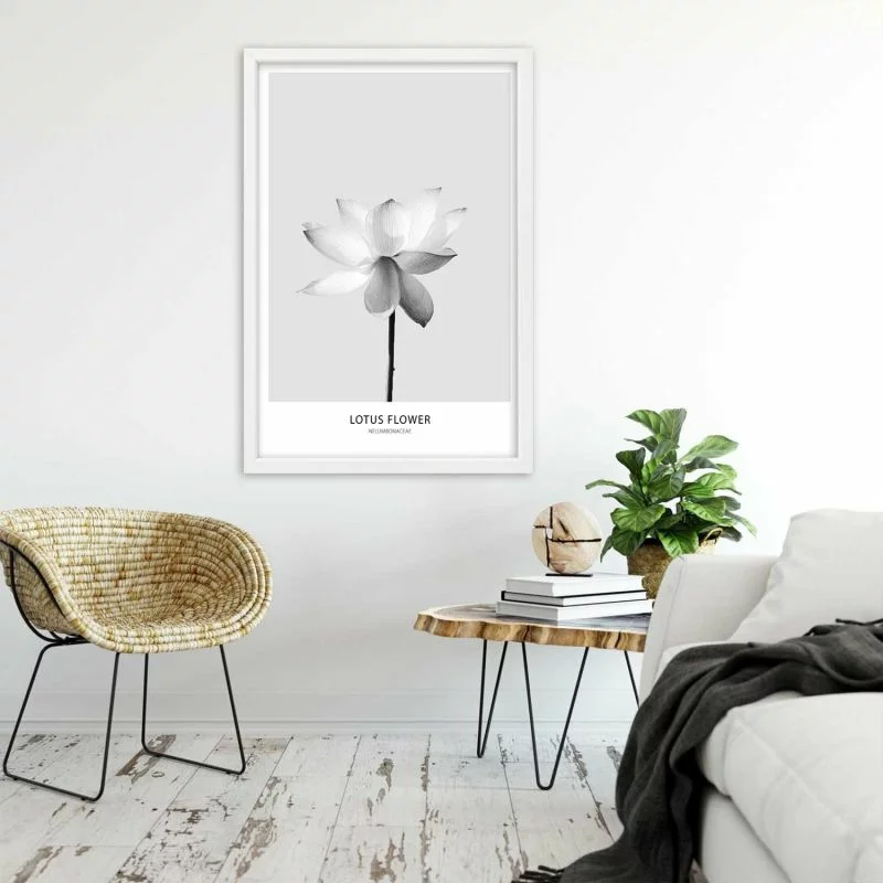 Obraz w ramie, Biały kwiat lotosu - obrazek 1