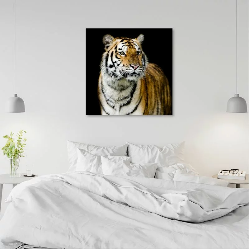 Obraz Deco Panel, Majestatyczny tygrys - obrazek 1