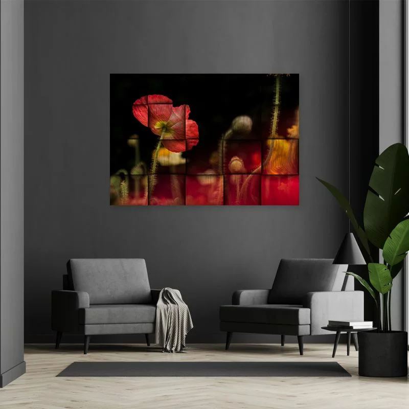 Obraz Deco Panel, Czerwony kwiat maku  - obrazek 1