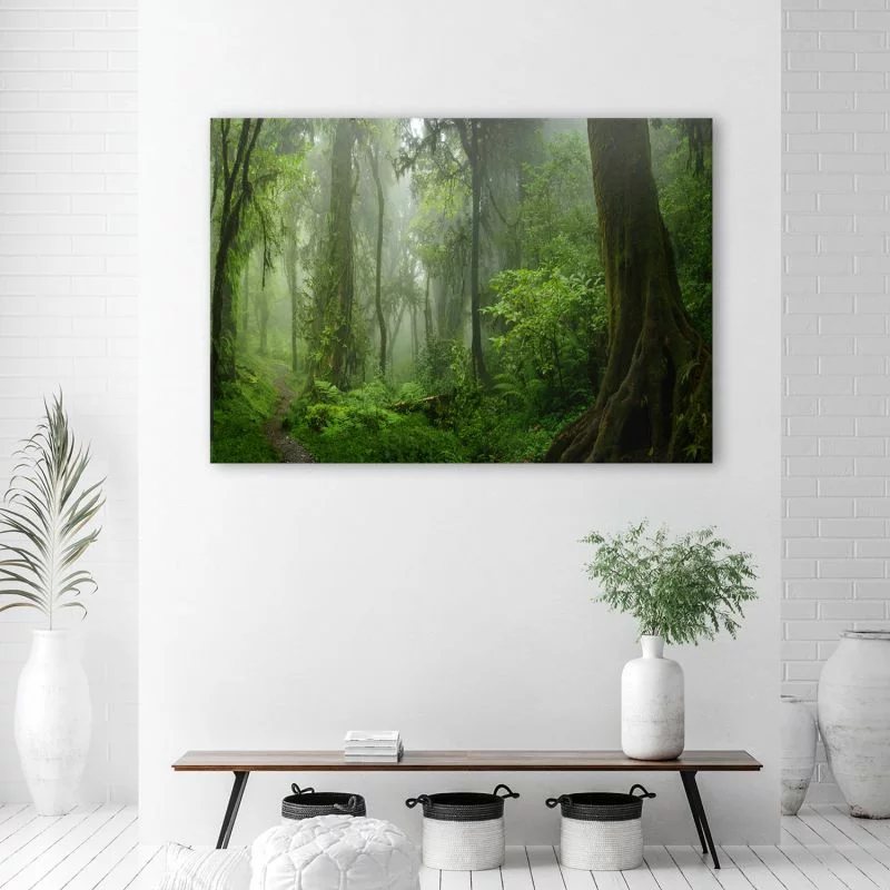 Obraz Deco Panel, Tropikalny las dżungla - obrazek 1