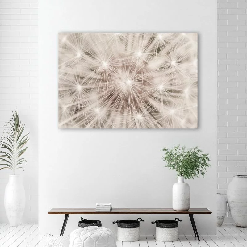 Obraz Deco Panel, Dmuchawiec kwiaty natura makro - obrazek 1
