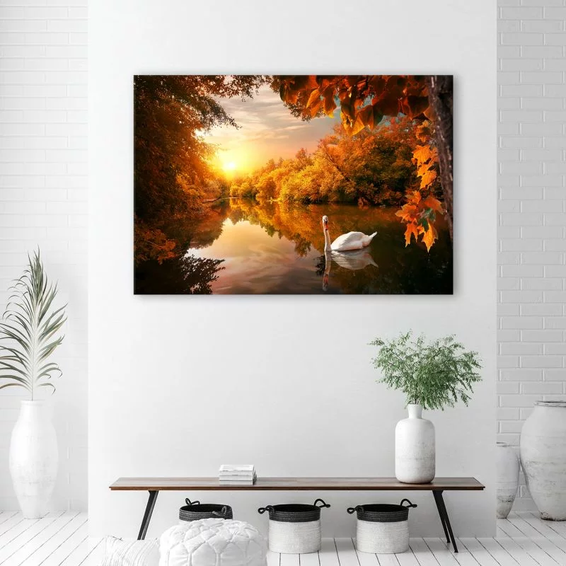 Obraz Deco Panel, Łabędź na stawie jesień - obrazek 1
