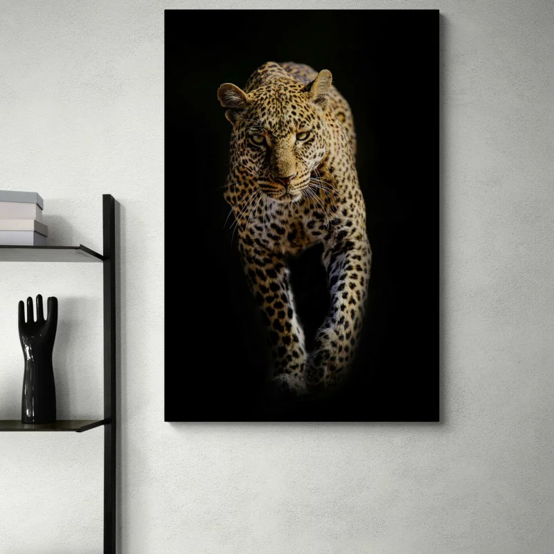 Obraz - leopard wychodzący z cienia - obrazek 1