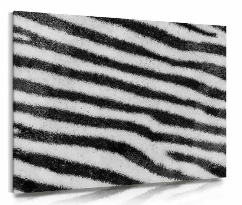 Obraz na płótnie - pasy zebry - obrazek 1
