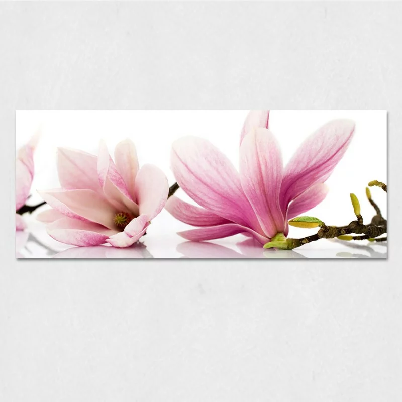Obraz na szkle - magnolie - obrazek 1