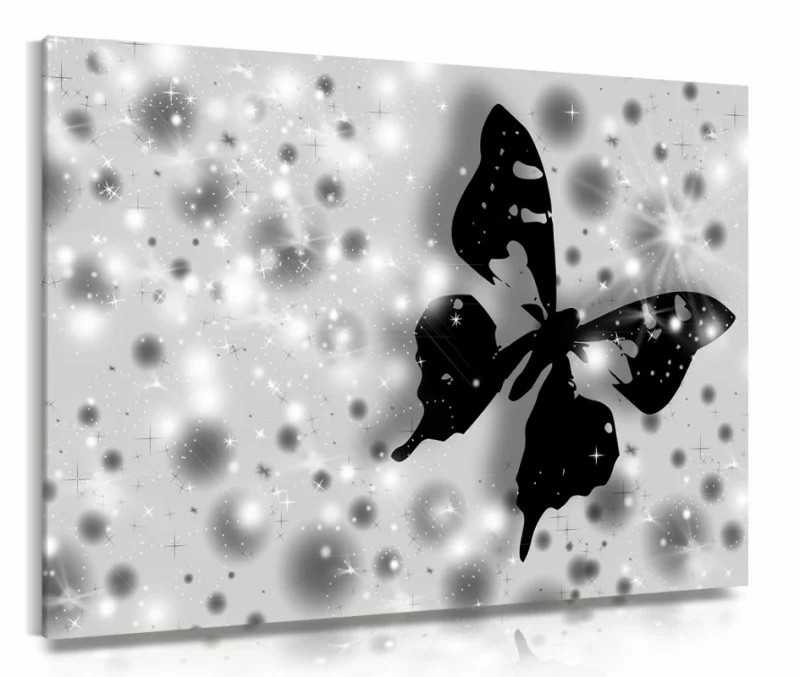 Obraz czarny motyl - obrazek 1