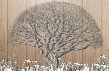 Fototapeta 3D do salonu - drzewo - obrazek 2