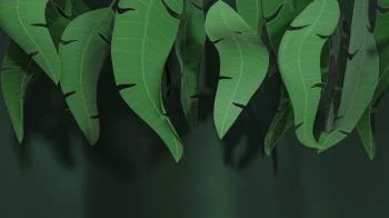 Fototapeta 3D - Zielony wodospad liści - obrazek 2