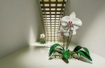 Fototapeta 3D - Orchidee w tunelu - obrazek 2