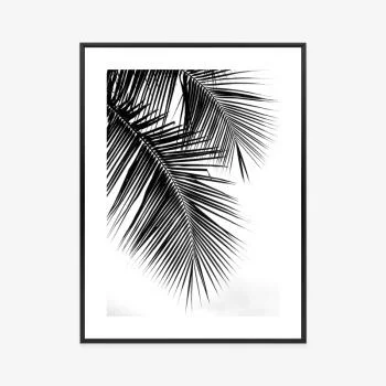 Plakat w ramie - piękne czarne liście palmy - obrazek 3