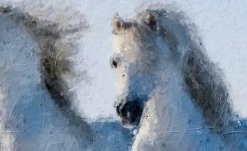 Obraz na płótnie - jak malowane białe konie - obrazek 3