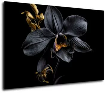 Obraz - czarno-złota orchidea