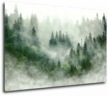 Obraz - mgła w lesie - obrazek 2