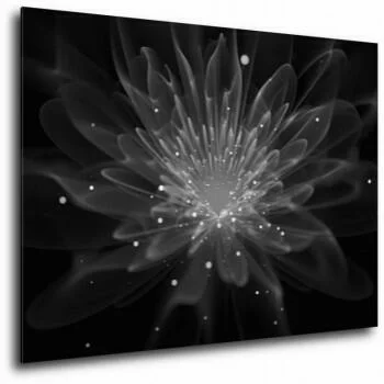 Obraz - kwiat jednej nocy - czarno-biały - obrazek 2