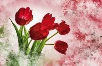 Fototapeta czerwone tulipany - obrazek 2