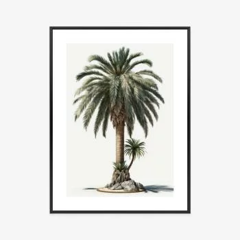 Plakat w ramie - palma z zieloną gałązką - obrazek 3