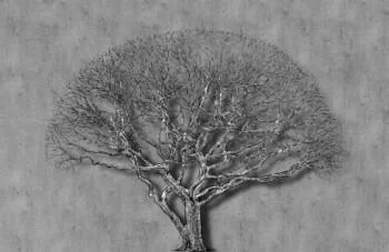 Fototapeta 3D drzewo na betonie - obrazek 2