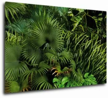 Obraz na płótnie - dżungla