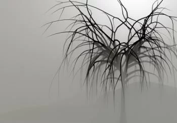 Fototapeta 3D - drzewo we mgle - obrazek 2