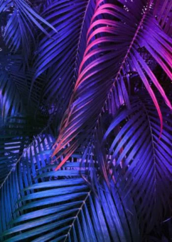 Plakat w ramie - tropikalne neonowe liście - obrazek 2