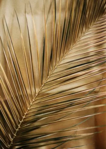 Plakat w ramie - złota palma liście - obrazek 2