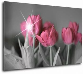 Obraz różowe tulipany - obrazek 2