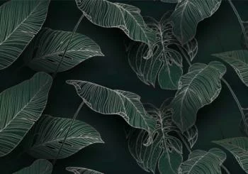 Fototapeta natura, tropikalne liście - obrazek 2