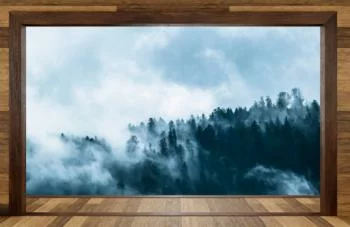 Fototapeta 3D na wymiar - las spowity mgłą - obrazek 2